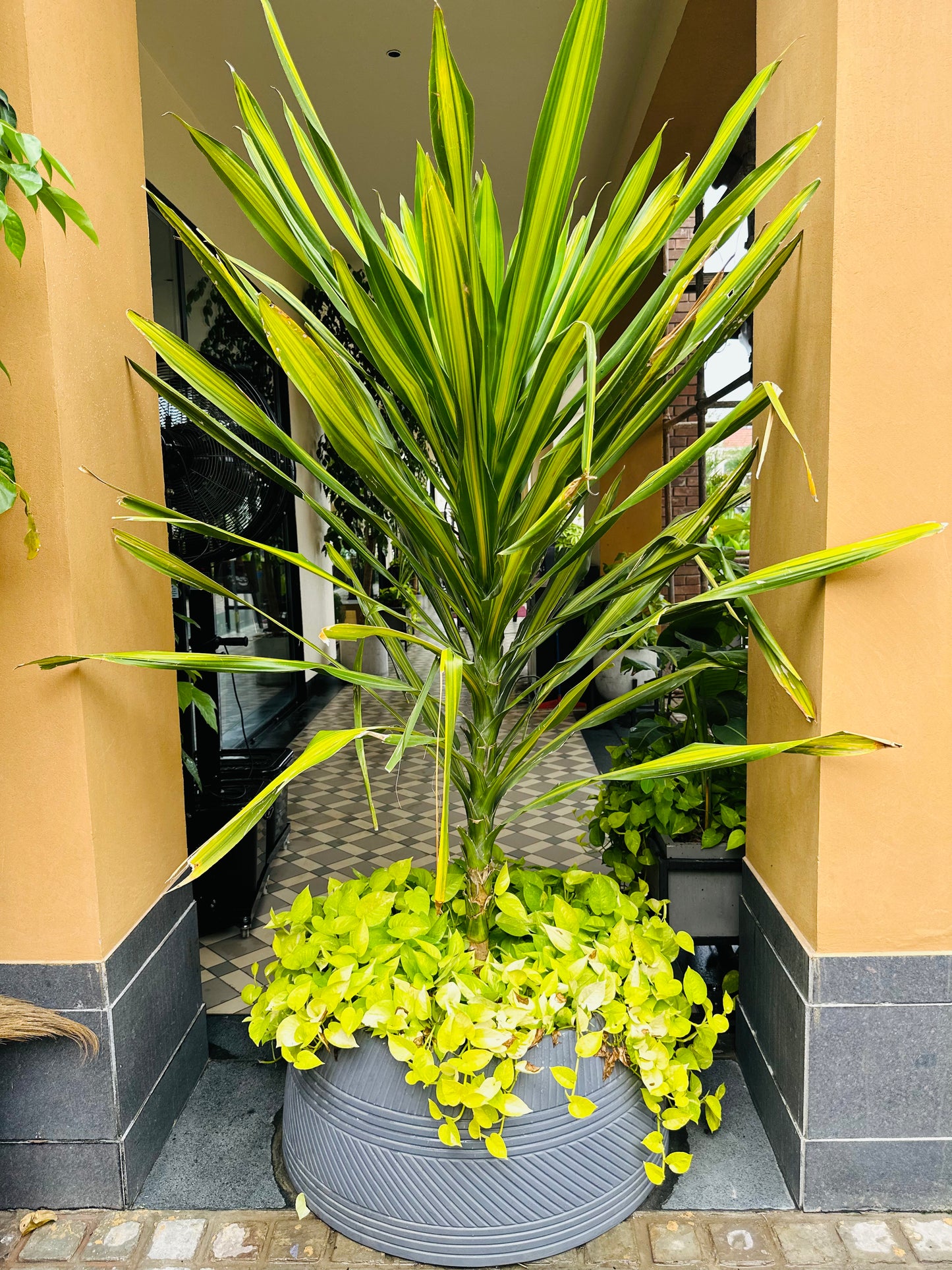 KYTHIRA PLANTER IN PAINTED GREY