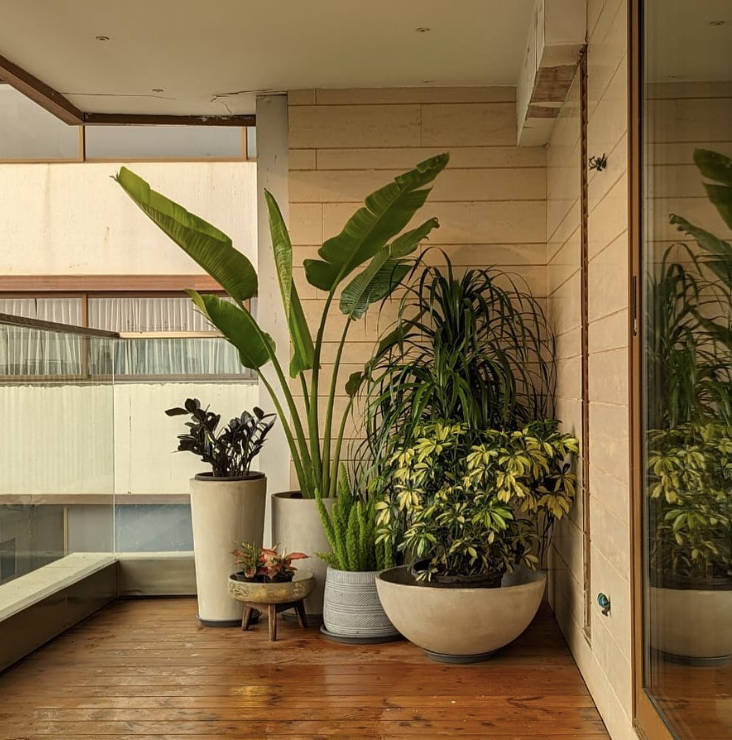 Balcony Setup