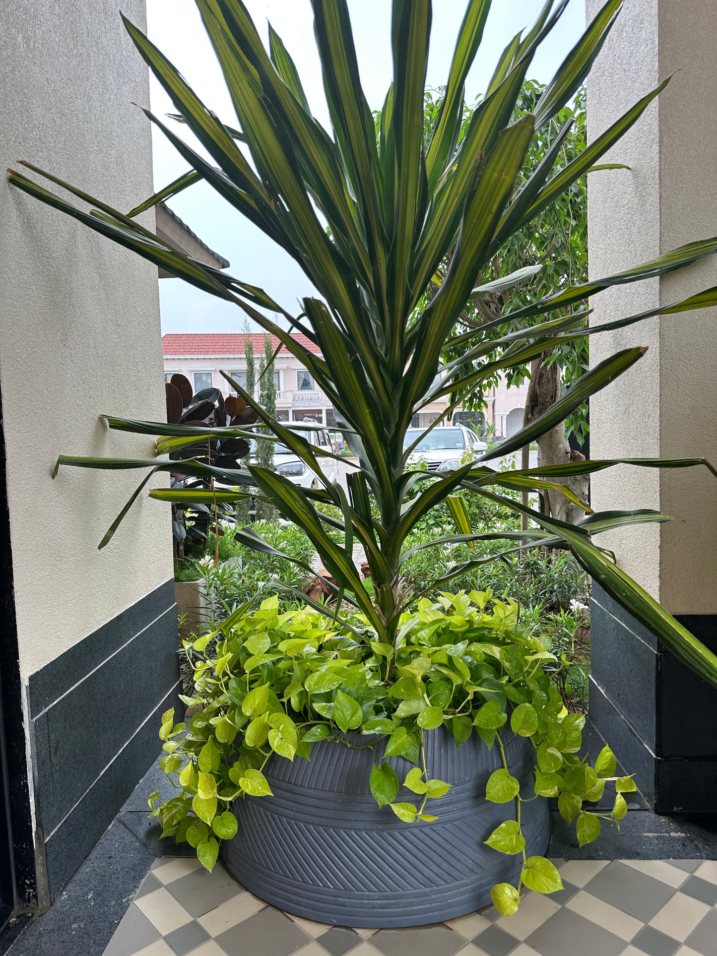 KYTHIRA PLANTER IN PAINTED GREY