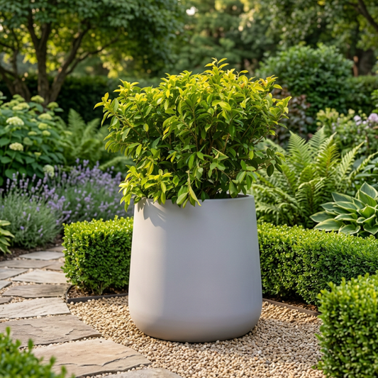 Druma Planter Large