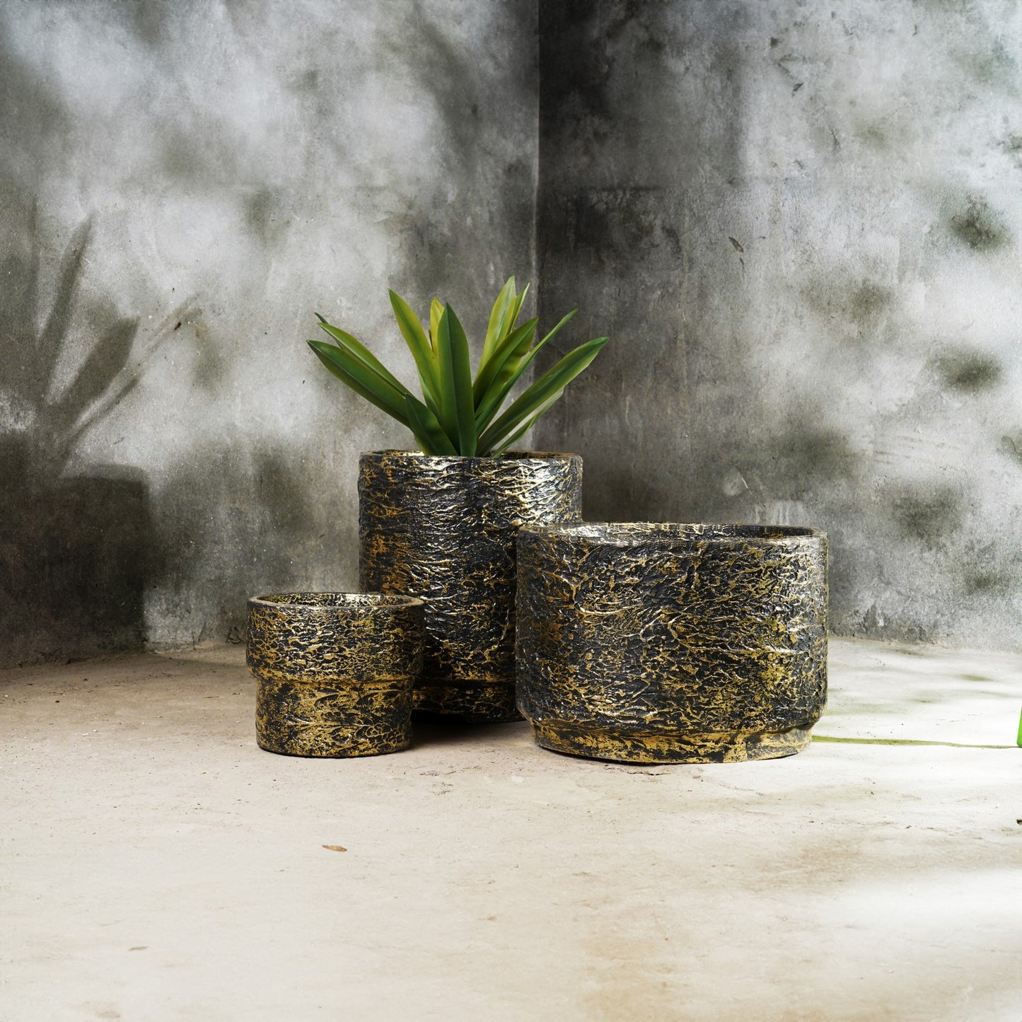 Angistri Planter Set Of 3 - Black Textured Planter With Gold Foil