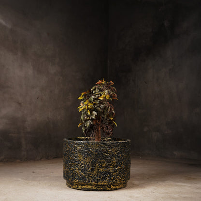 Angistri Planter  - Black Textured Planter With Gold Foil (Medium)