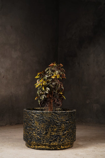 Angistri Planter  - Black Textured Planter With Gold Foil (Medium)