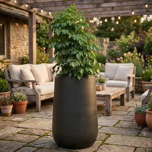 Druma Planter Tall