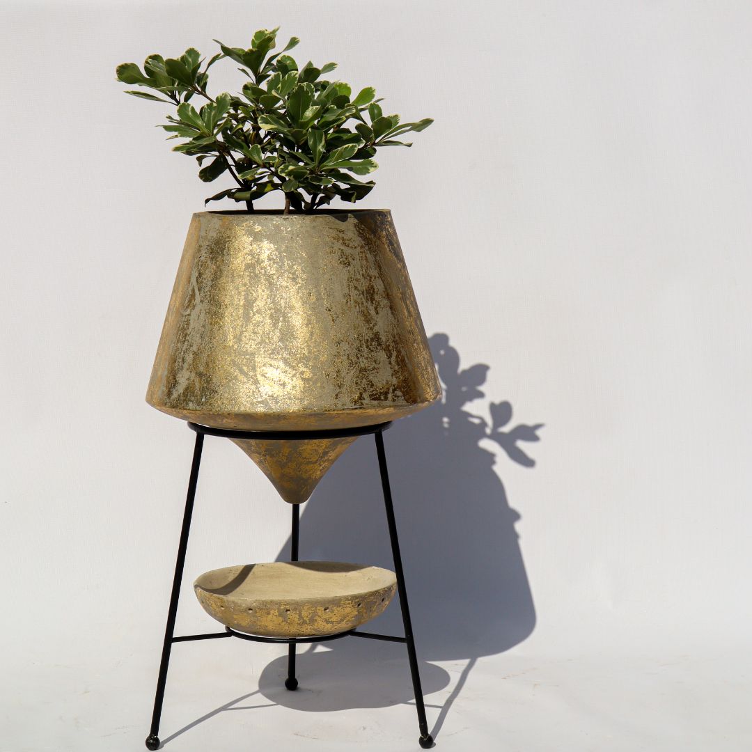 Venus Planter In Gold Foil