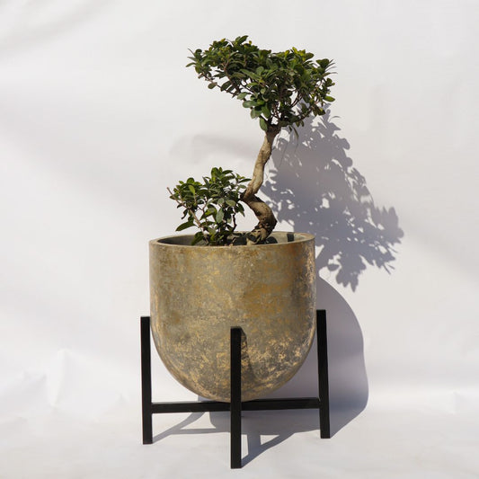 Canterbury Planter In Gold Foil