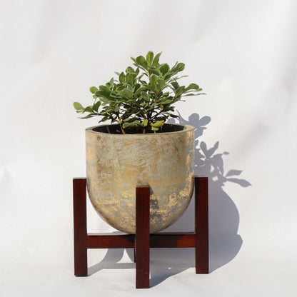 Brighton Planter In Gold Foil Finish (Small)