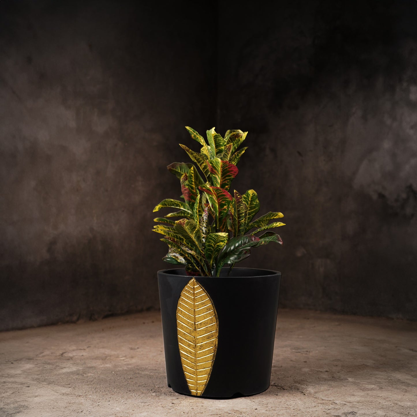 Bruges Planter Set (Black With Gold Foil)