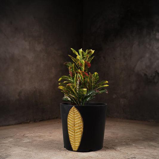 Bruges Planter Large (Black With Gold Foil)