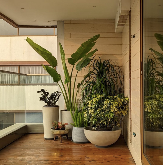 Balcony Setup