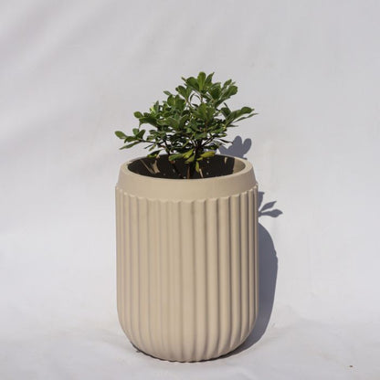 Windsor Planter- Medium