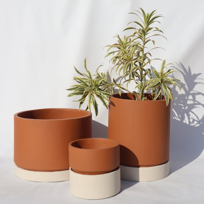 Eastbourne Planter- Small