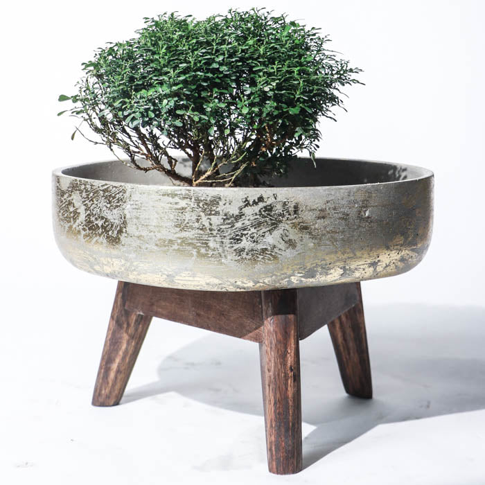 Hydra Planter (Small) In Gold Leaf Finish With Wooden Stand