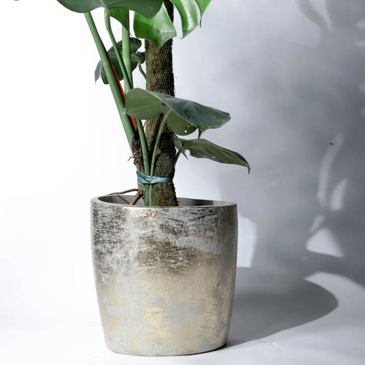 Dorset Planter (Gold Leaf)