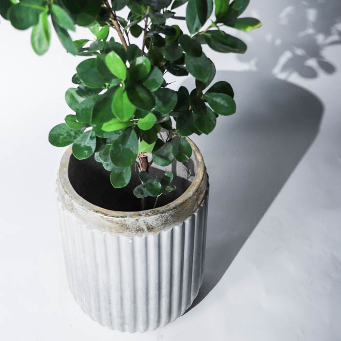 Windsor Planter- Medium (Rim In Gold Leaf)