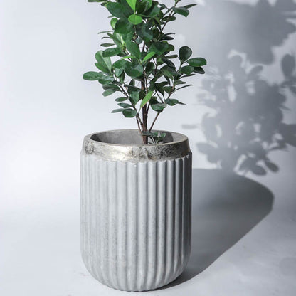 Windsor Planter- Medium (Rim In Gold Leaf)