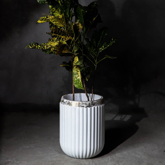 Windsor Planter- Medium (White With Rim In Gold Leaf)