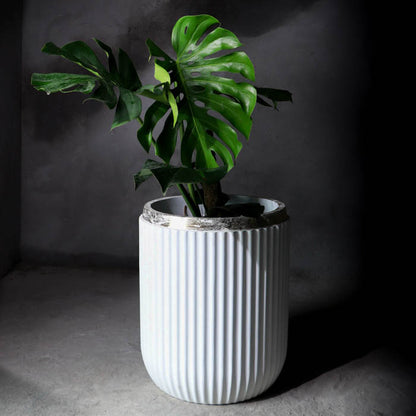 Windsor Planter- Large (White With Rim In Gold Leaf)