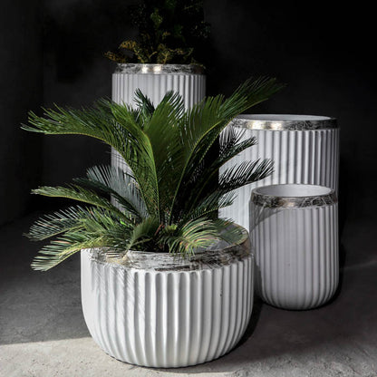 Windsor Planter- Set (White With Rim In Gold Leaf)