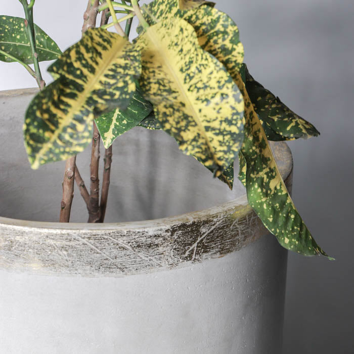 Torbay Planter (Rim In Gold Leaf)