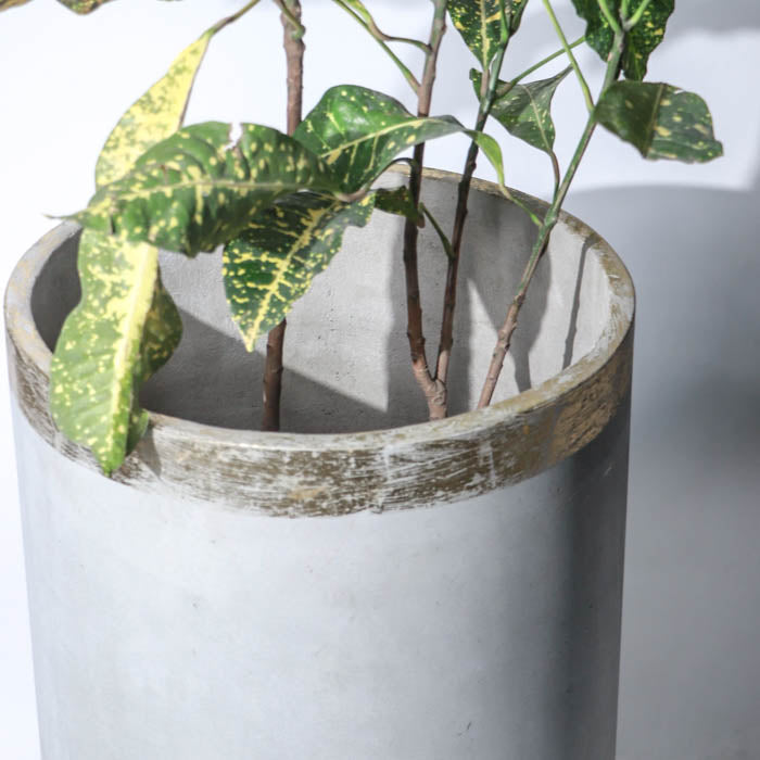 Margate Planter (Rim In Gold Leaf)