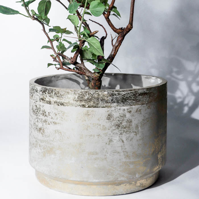 Angistri Planter- Medium In (Gold Leaf)