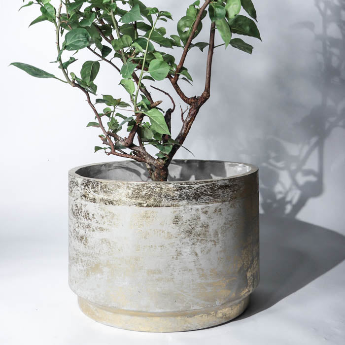 Angistri Planter- Medium In (Gold Leaf)