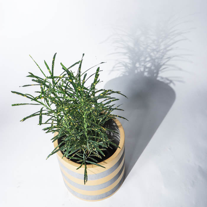 Sifnos Planter- Small (Golden Stripes)