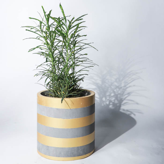 Sifnos Planter- Small (Golden Stripes)