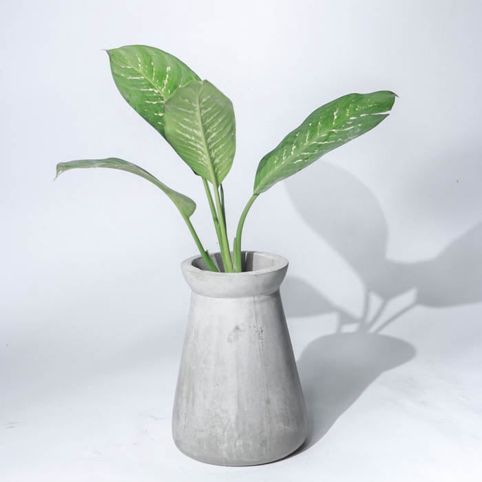 Kea Planter Small (Natural Grey)