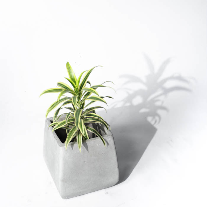 Milos Planter Small (Natural Grey)