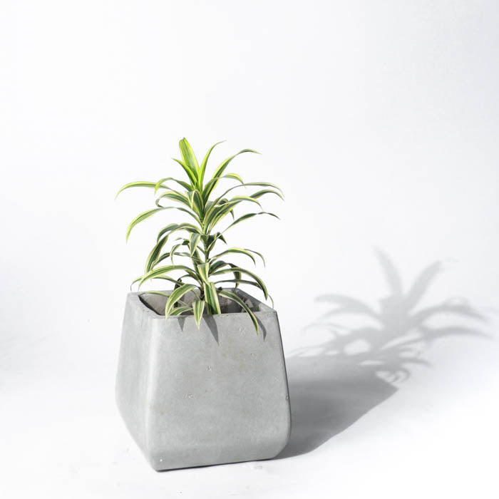 Milos Planter Small (Natural Grey)