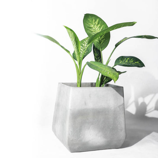 Milos Planter Medium (Natural Grey)