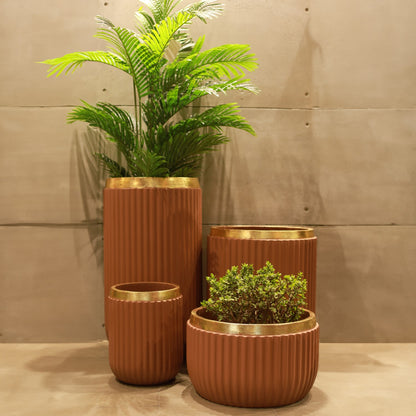 Windsor Planter- Set (Camel With Rim In Gold Foil)