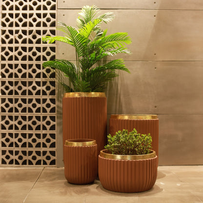 Windsor Planter- Set (Camel With Rim In Gold Foil)