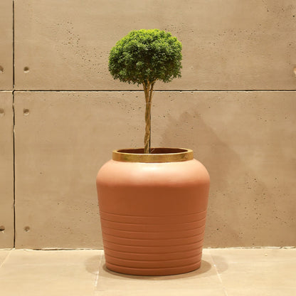 Cambridge Planter (Camel With Rim In Gold Foil)