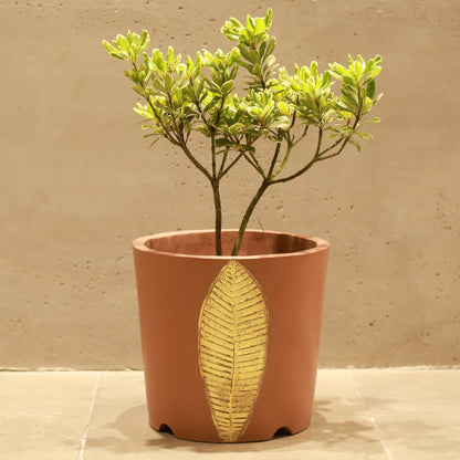 Bruges Planter Small ( Camel With Gold Foil)