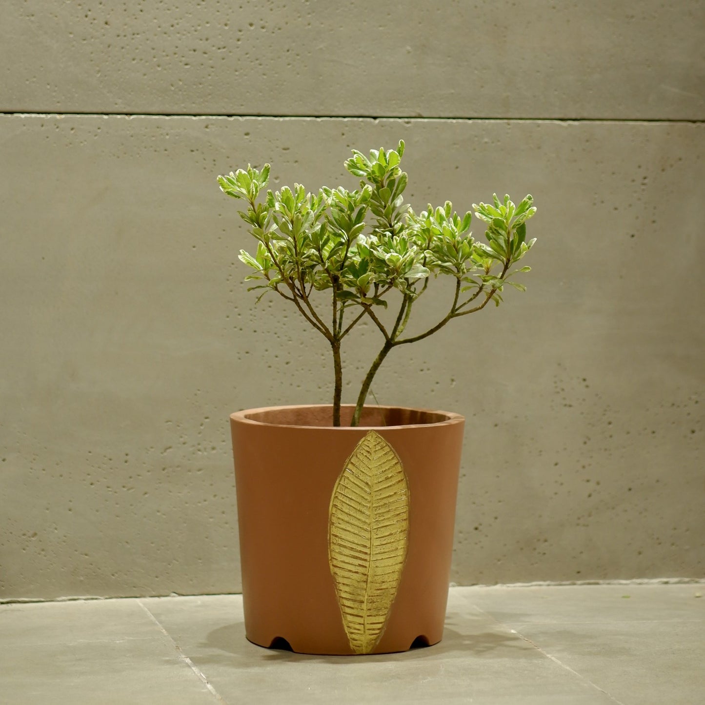 Bruges Planter Small ( Camel With Gold Foil)