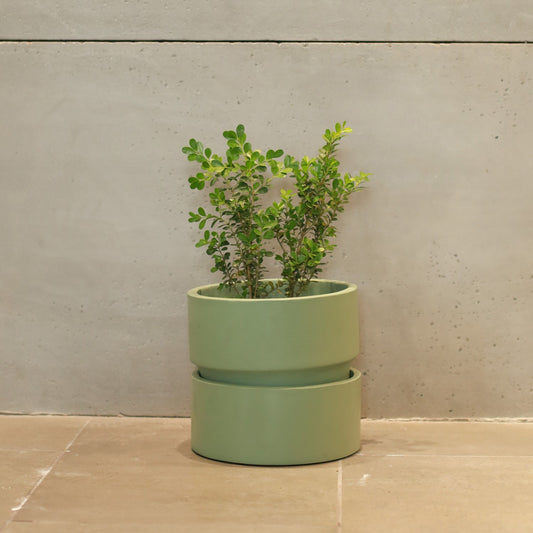 Eastbourne Planter- Small (Sage Green)