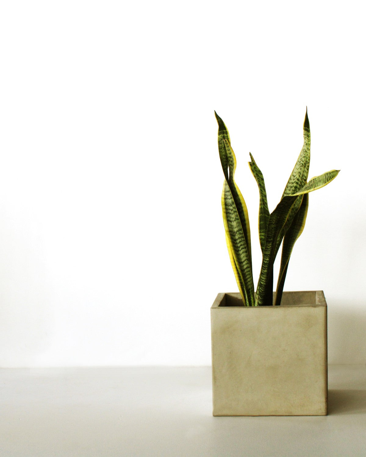 Piran Cube Planter