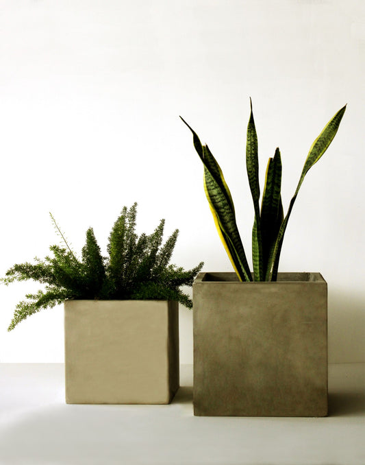 Piran Cube Planter