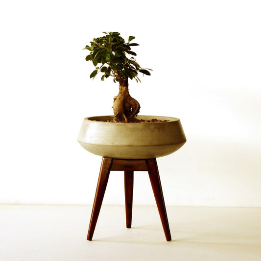 Colmar Planter (Small) With Wood Stand