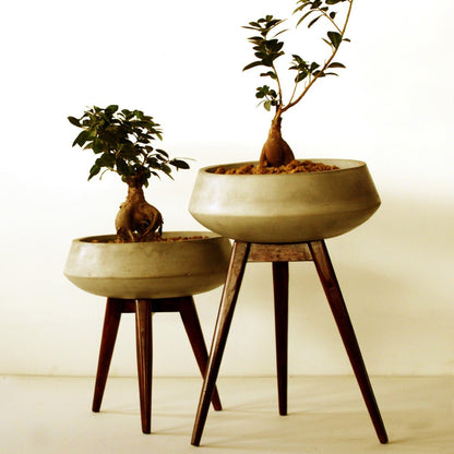 Colmar Planter (Large) With Wood Stand