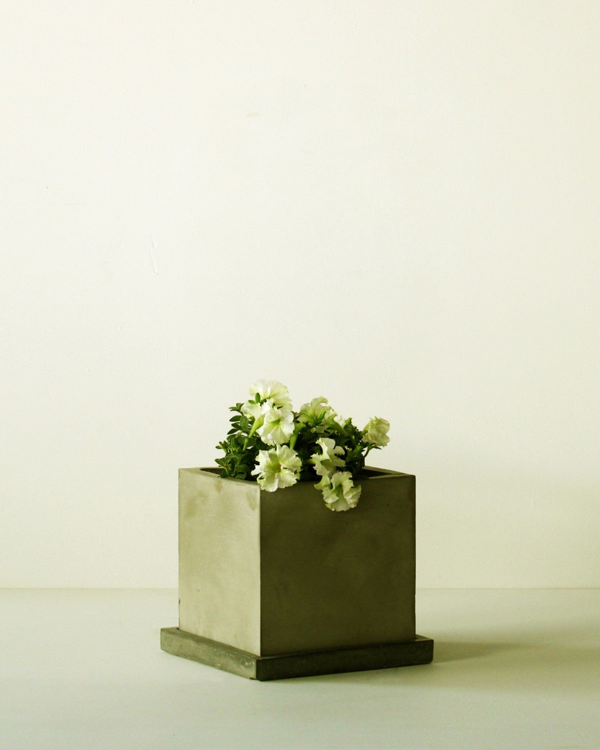 Cornwall Planter (With Tray)