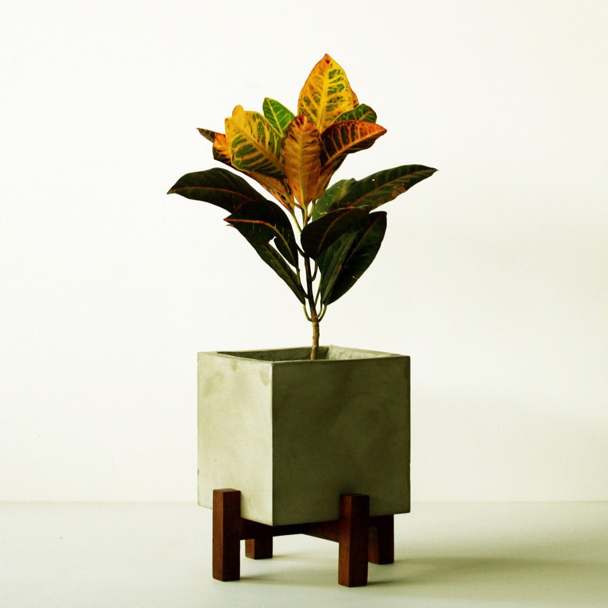 Cornwall Planter With Wood Stand