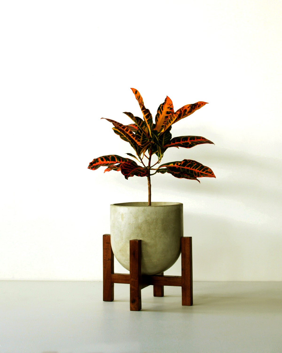 Brighton Planter (Small) With Wood Stand