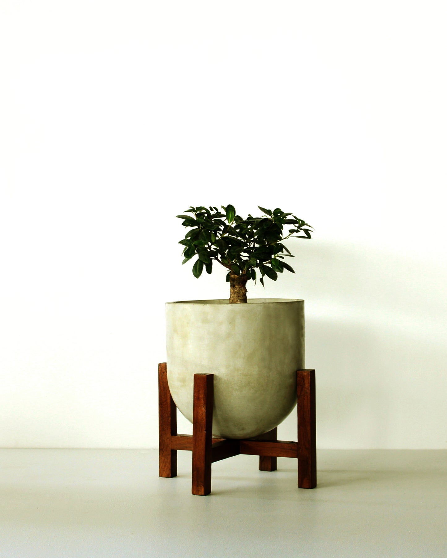 Brighton Planter (Medium) With Wood Stand