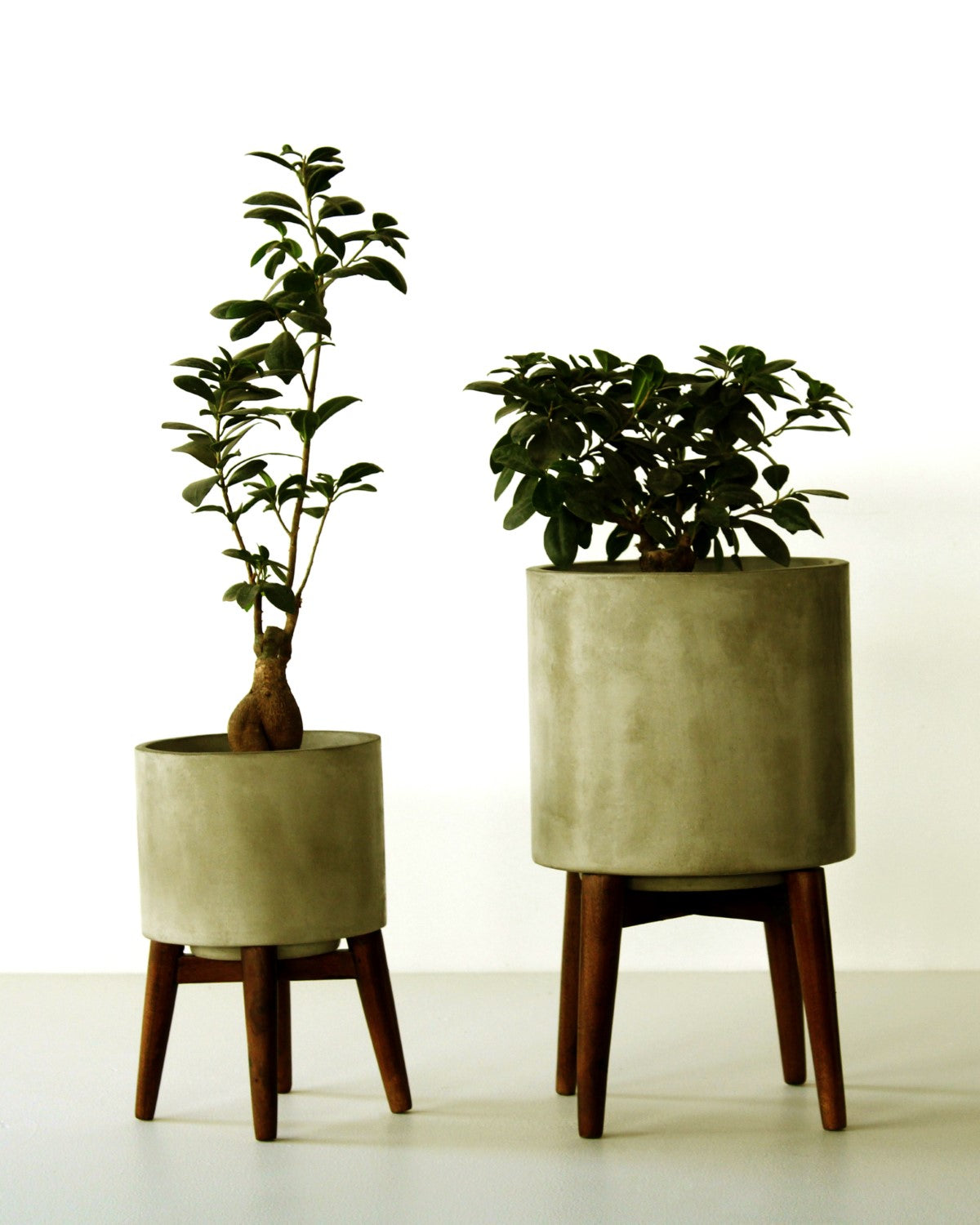 Malton Planter (Medium) With Wood Stand