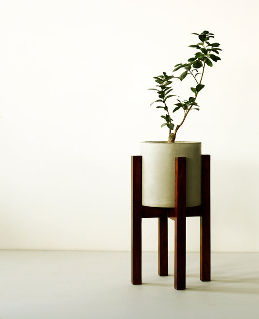 Monsanto Planter (Small) With Wood Stand