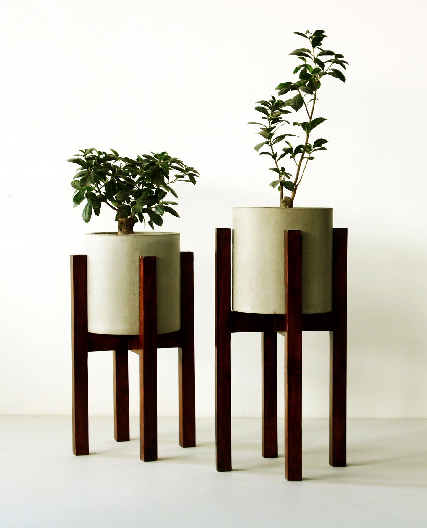 Monsanto Planter (Large) With Wood Stand